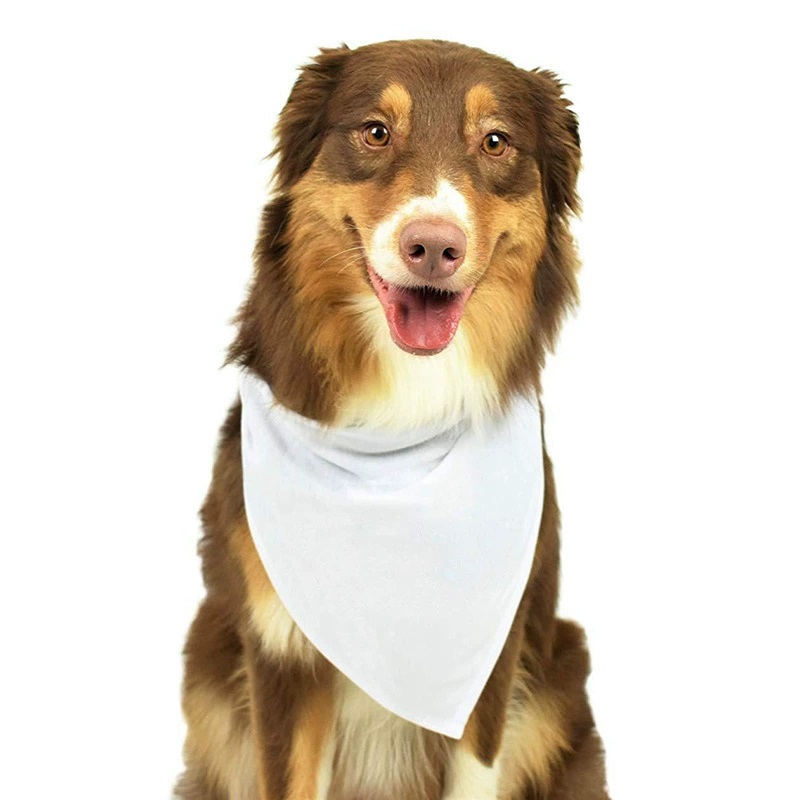 Bandana Blank White - 30 pañuelos blancos de poliéster para