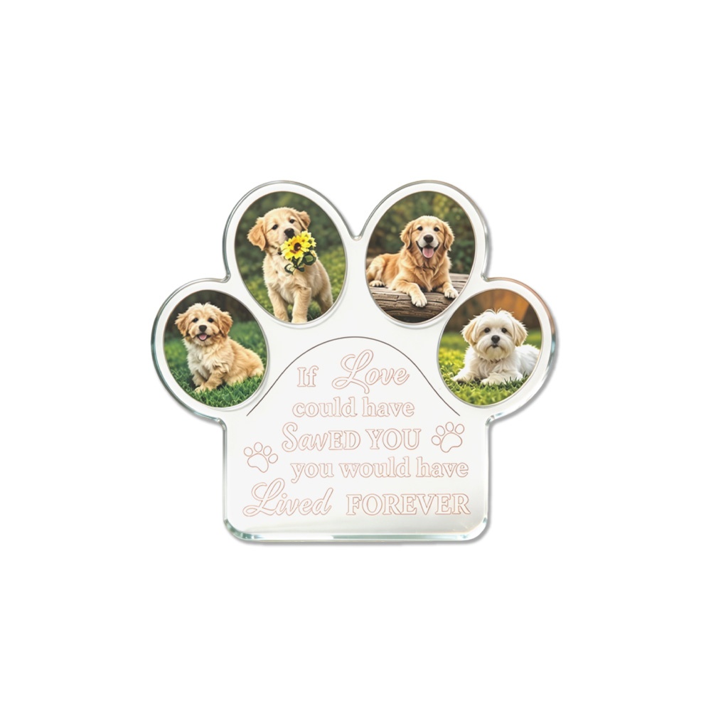 1 Pieza de Placa de Acrílico P - Photo Acrylic Block reseña y precio
